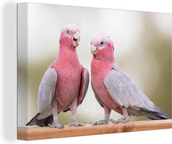 Canvas Schilderij Twee roze kaketoe's in gesprek - 90x60 cm - Wanddecoratie