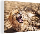Canvas Schilderij Cheetah - Dier - Close up - 60x40 cm - Wanddecoratie