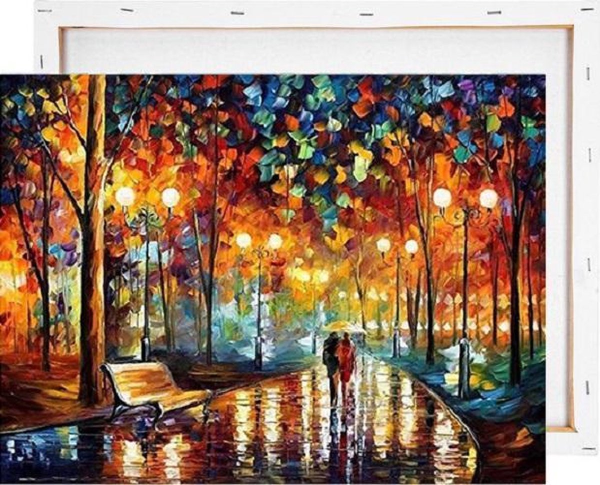 Lichtjes in de regen - Schilderen op nummer - Met frame - 40x50 cm
