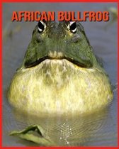 African Bullfrog