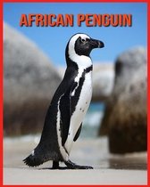 African Penguin