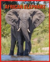 African Elephant