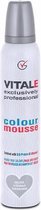Vitale exclusively professional - Colour Mousse - Silver