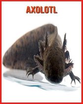 Axolotl