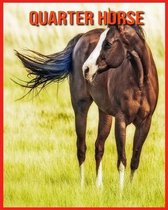 Quarter Horse