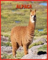 Alpaca