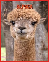 Alpaca