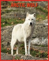 Arctic wolf