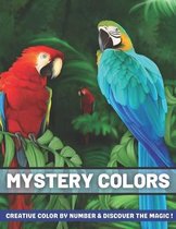 Mystery Colors Creative Color By Number & Discover The Magic!