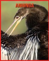 Anhinga