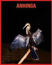 Anhinga