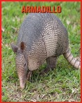 Armadillo