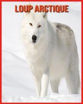 Loup Arctique