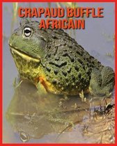 Crapaud Buffle Africain