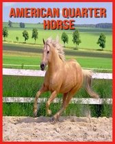 American Quarter Horse