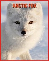 Arctic Fox