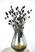 Droogbloemen  Zwart | Kanariegras | 60 cm | Natuurlijk Bloemen