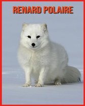 Renard Polaire