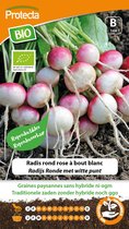 Protecta Groente zaden: Radijs Ronde met witte punt Biologisch
