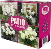 40x Bloembollen - Mix 'Patio City Garden White' wit- Dahlia's | Gladiolen | Freesia's | Ranonkelen - Bolomtrek 5-9 cm