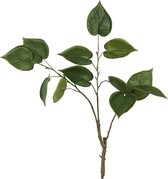 J-Line Philodendron Tak 3Delig Plastiek Groen