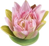 Velda Vijver Vijvertechniek Drijvende Vijverplant Lotus Roze 13Cm