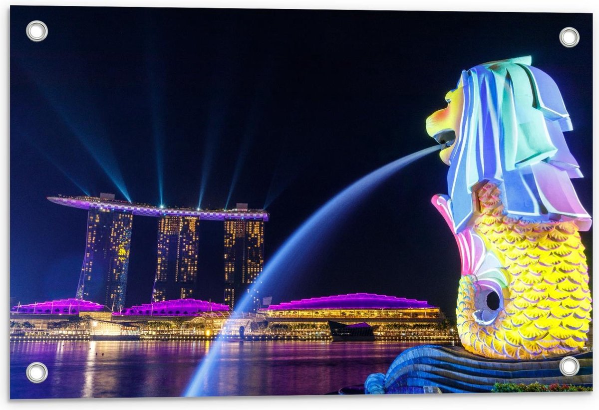 Tuinposter – Fontein in Merlion Park, Singapore - 60x40cm Foto op Tuinposter (wanddecorati