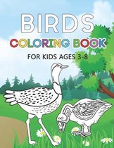 Birds Coloring Book