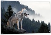 Tuinposter – Wolf op Rots - 120x80cm Foto op Tuinposter  (wanddecoratie voor buiten en binnen)