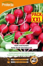 Protecta Groente zaden: Radijs Ronde Scharlakenrode XXL