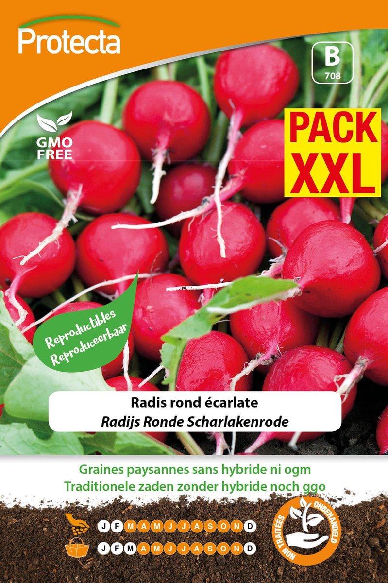 Protecta Groente zaden: Radijs Ronde Scharlakenrode XXL