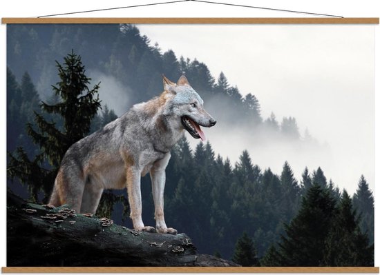 Schoolplaat – Wolf op Rots - 150x100cm Foto op Textielposter (Wanddecoratie op Schoolplaat)