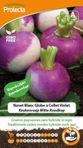 Protecta Groente zaden: Keukenraap Witte Roodkop