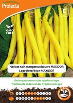 Protecta Groente zaden: Lage Boterboon MAXIDOR