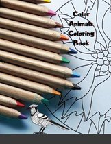 Color Animals Coloring Book
