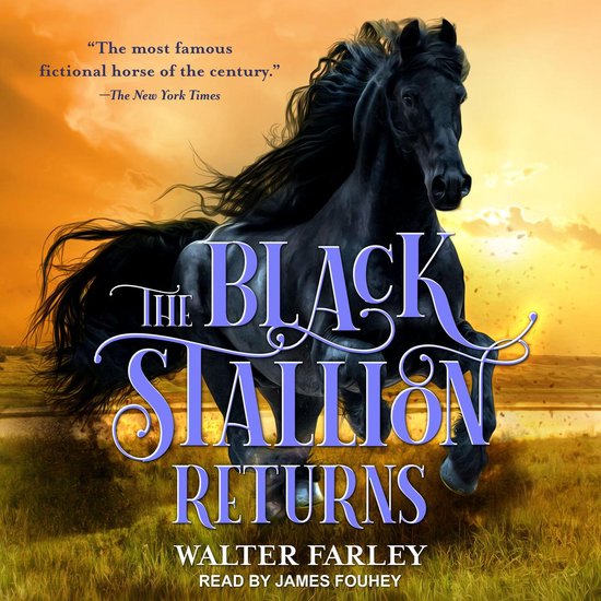 The Black Stallion Returns - cover