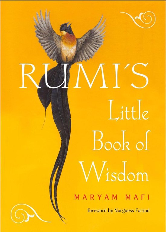 Livre 'Rumi's Little Book of Wisdom' avec une couverture orange, un oiseau aux ailes déployées et du texte blanc.