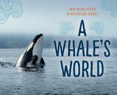My Great Bear Rainforest 4 - A Whale's World