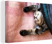 Canvas Schilderij Slapende kat op een kleed - 60x40 cm - Wanddecoratie