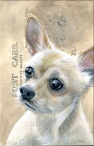 Dubbele kaart met env. Hond Chihuahua 11,5x17,5cm