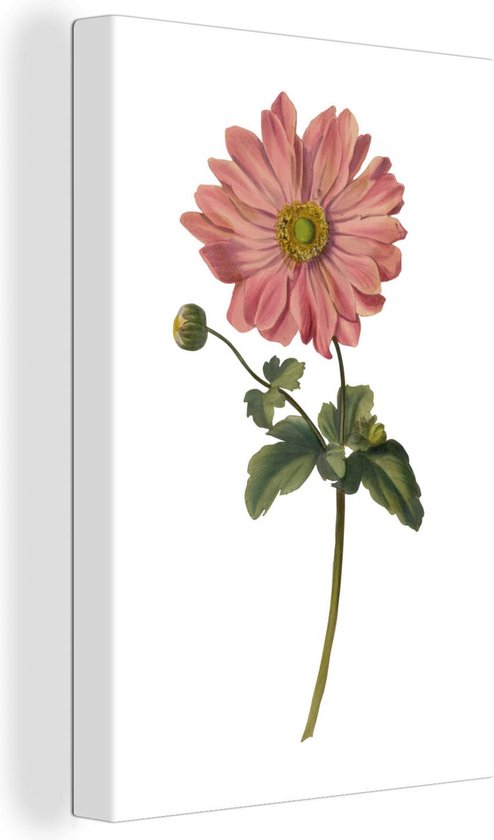 Canvas Schilderij Bloemen - Roze - Wit - 60x90 cm - Wanddecoratie