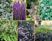 1 stuk(s) | Blauw-wit borderpakket - Bloeiende plant - Insectenlokkend - Semi-bladhoudend | 3m2 | Inclusief gratis plantadvies