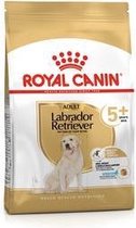 Royal Canin Labrador Retriever Adulte 5+  | 12