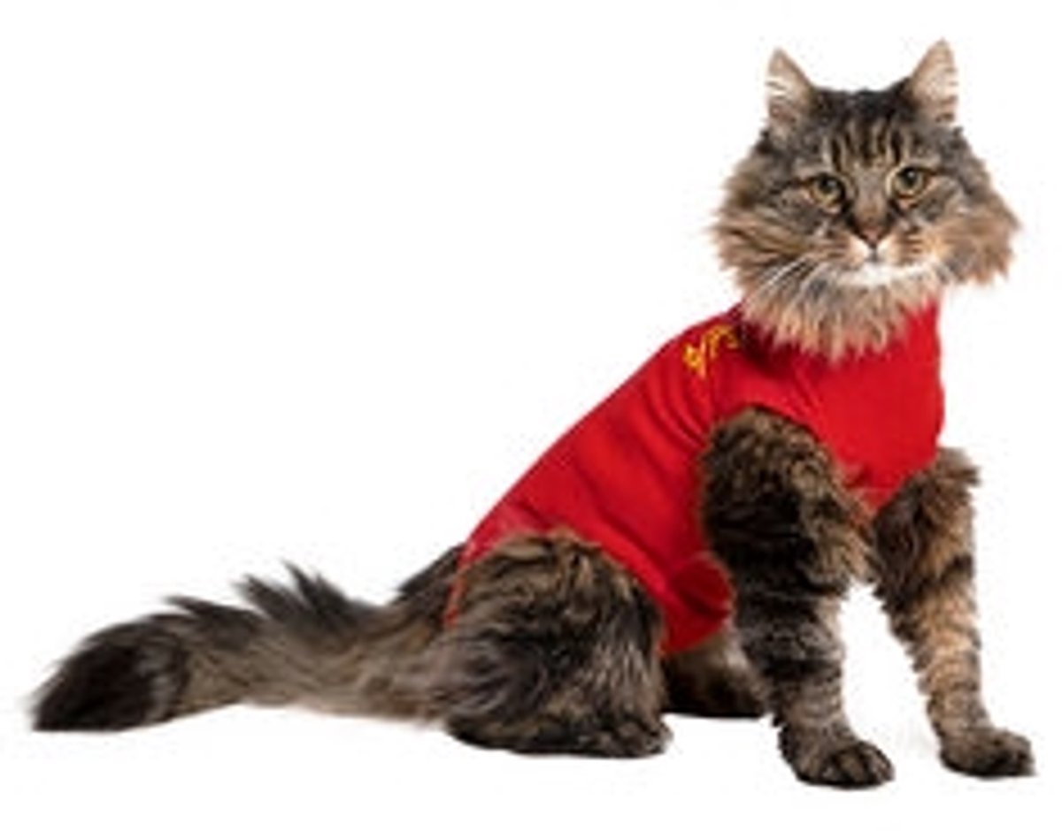 Bol.com Medical Pet Shirt Kat XXXXS rood aanbieding