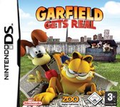 Garfield, Gets Real  NDS