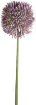 Viv! Home Luxuries Allium - kunstbloem - paars - 65cm - topkwaliteit