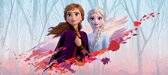 Sanders & Sanders poster Frozen Anna & Elsa blauw, paars en oranje - 600907 - 202 x 90 cm