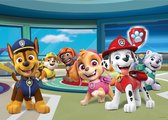 Sanders & Sanders poster PAW patrol blauw, groen en rood - 600676 - 160 x 110 cm