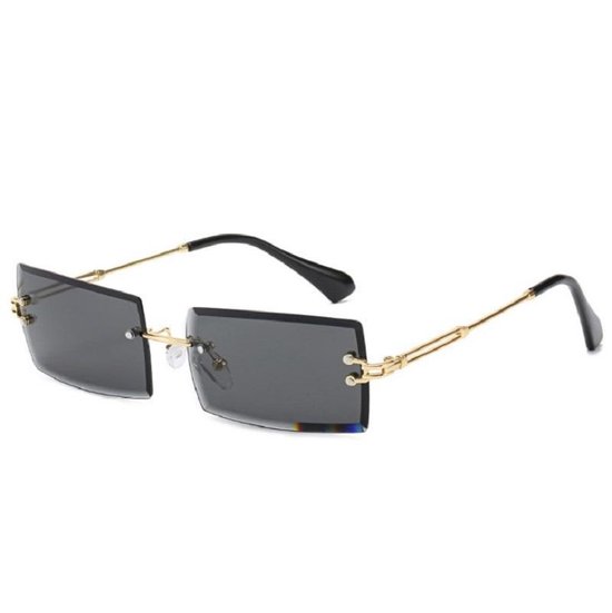 Dames Accessoires voor voor heren Zonnebrillen voor heren Alpina Zonnebril in het Zwart 