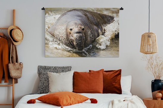 Tapisserie Animaux aquatiques - Éléphant de mer sortant de la mer Tapisserie coton 120x80 cm - Tapisserie avec photo